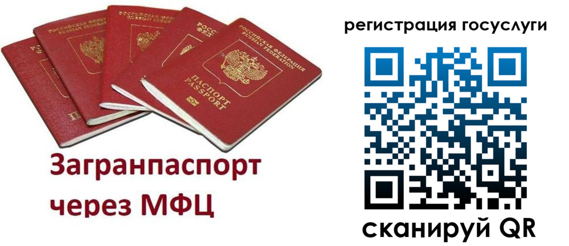 прописка 2025 в Семикаракорске